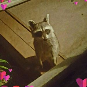 Meet your Posher, Anita