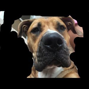 Meet your Posher, Kaiyanna