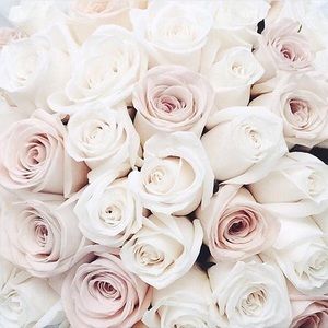 Meet your Posher, Lais