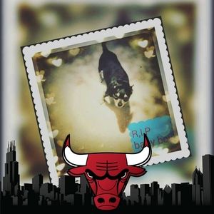 Meet your Posher, Julianna