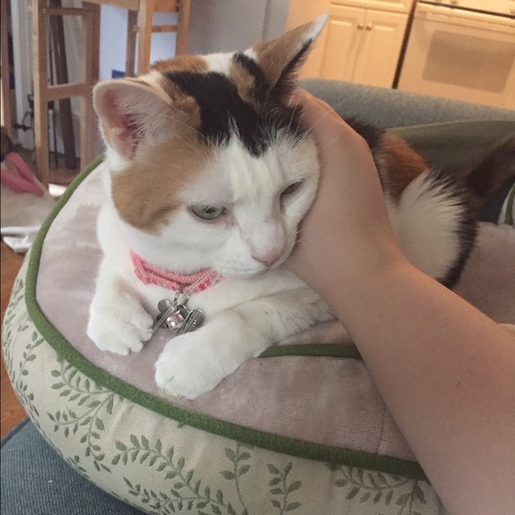 Get to know me😝 - Picture 2 of 4