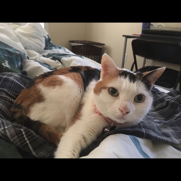 Get to know me😝 - Picture 3 of 4