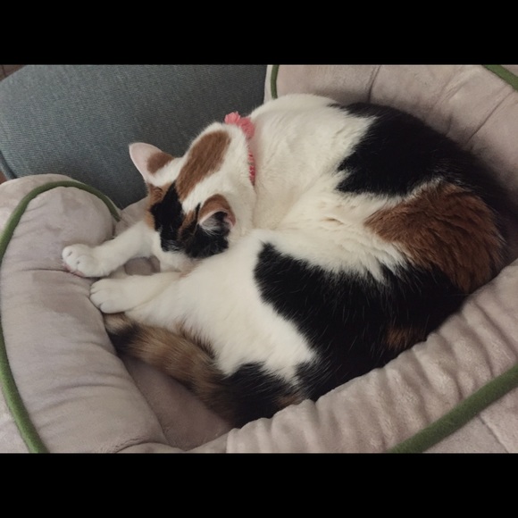 Get to know me😝 - Picture 4 of 4