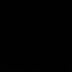 Meet your Posher, Carina