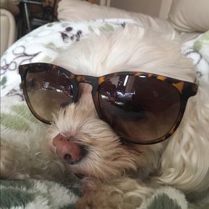 Meet your Posher, Sabrina