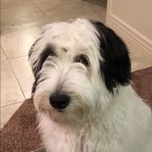 Meet your Posher, Liz