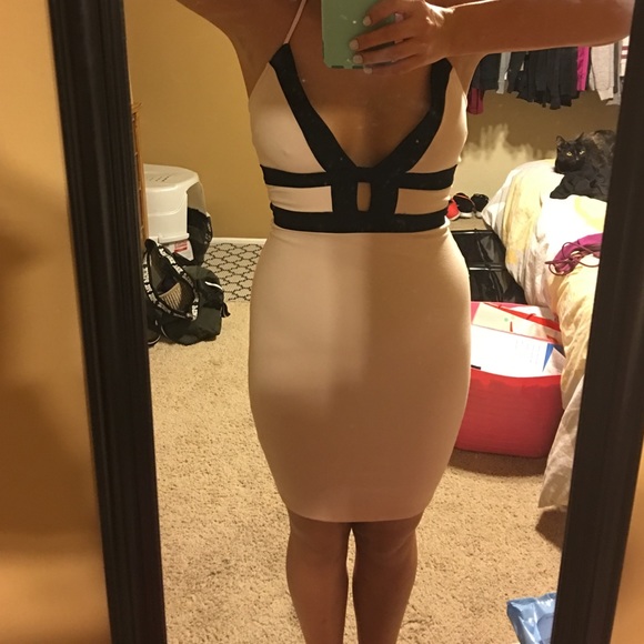 Blush and Black Windsor Dress - Picture 4 of 4