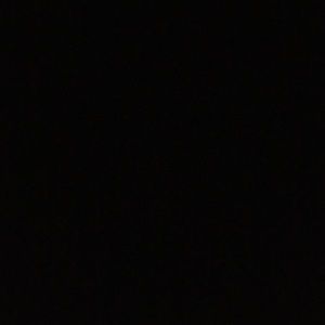 Meet your Posher, Daisy