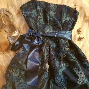 Cache dress & earrings