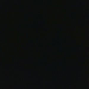 Meet your Posher, Shanee