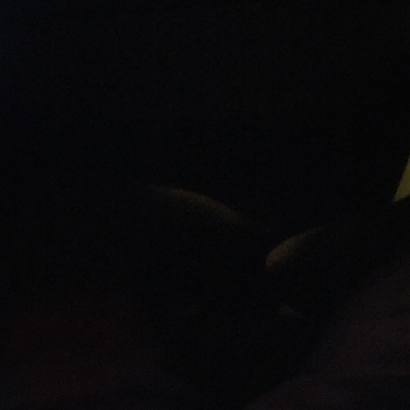 Meet your Posher, Willie - Picture 1 of 1