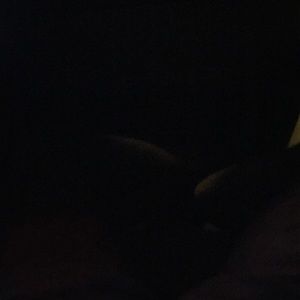 Meet your Posher, Willie