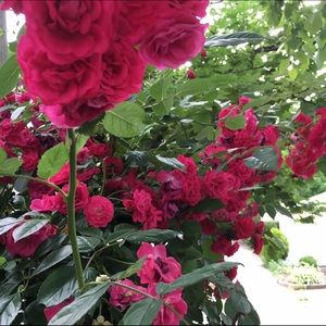 Skirt and Dress bundle ! :-)