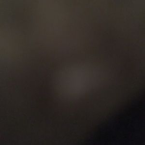 Meet your Posher, Bryce