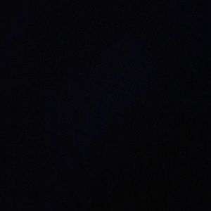 Meet your Posher, Monique