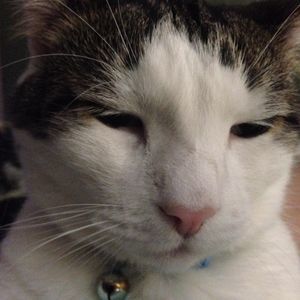 Meet your Posher, Dale