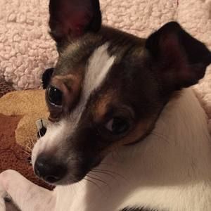 Meet your Posher, Debra