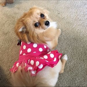 Meet your Posher, Sally