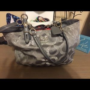 Silver Coach Purse