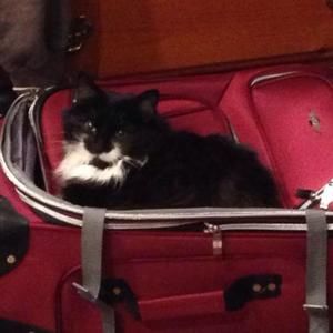 Meet your Posher, Stacey