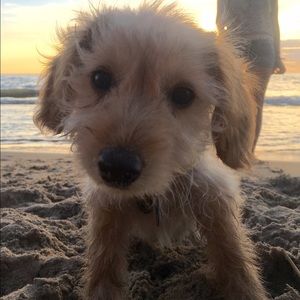 Meet your Posher, Tiffani