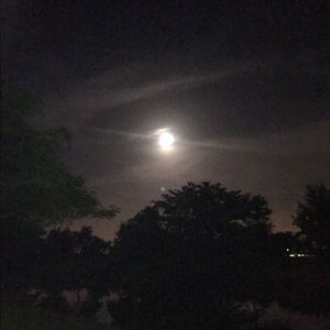 Meet your Posher, Fabiola