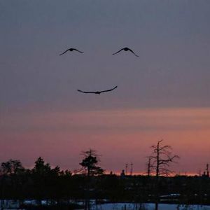 Meet your Posher, Shia