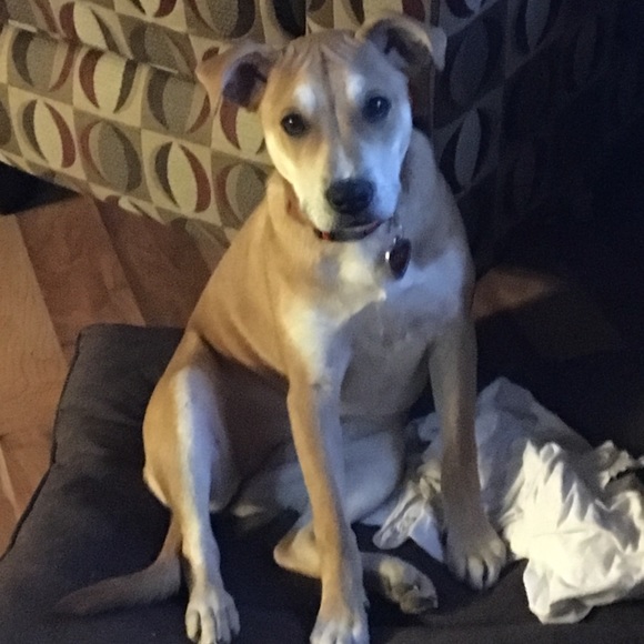 ✨Welcome To Mel’s!✨ - Picture 6 of 6