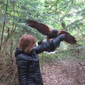 Meet your Posher, Jo