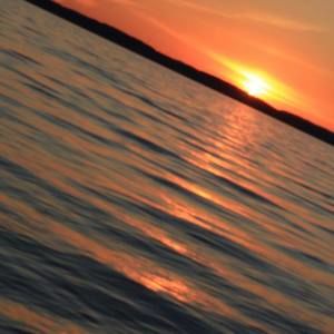 Meet your Posher, Lynne