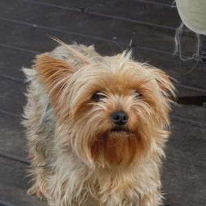 Meet your Posher, Sheri