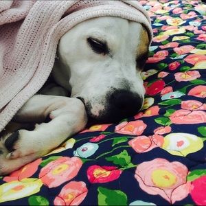 Meet your Posher, Murph