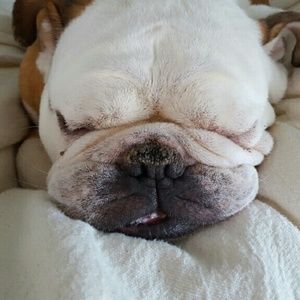 Meet your Posher, Grace