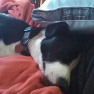 Meet your Posher, Diane