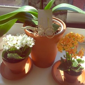 Gold dangle double hoop earrings