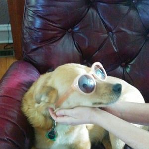 Meet your Posher, Marin