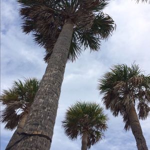 Meet your Posher, Riley