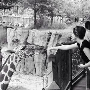 Meet your Posher, Brenna