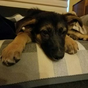 Meet your Posher, Janel