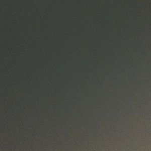 Meet your Posher, Paige