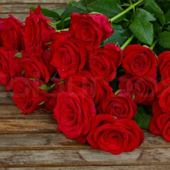 Meet your Posher, Tatyana