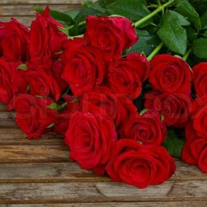 Meet your Posher, Tatyana