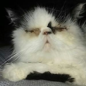 Meet your Posher, Kim