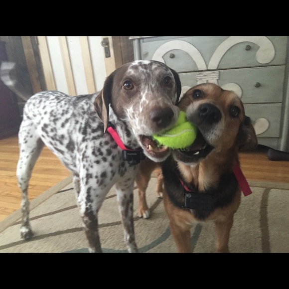 Meet your Posher, Kimberly - Picture 2 of 4