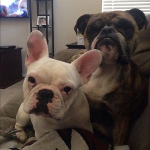 Meet your Posher, Amanda