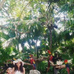 Meet your Posher, Candy