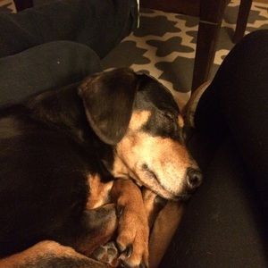 Meet your Posher, Lindsay