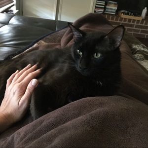 Meet your Posher, Candice