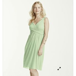David's Bridal Meadow green dress.