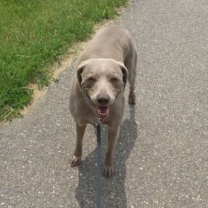 Meet your Posher, Emma